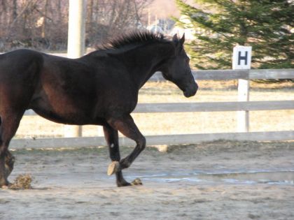 photo par MtlCowgirl