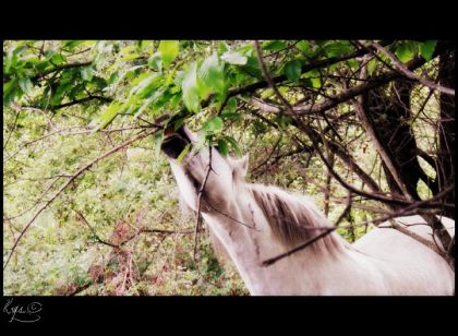 photo par Raedja