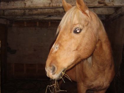 Ma grosse gidoune préféré Gt Super Star :) J'étais chez mon...