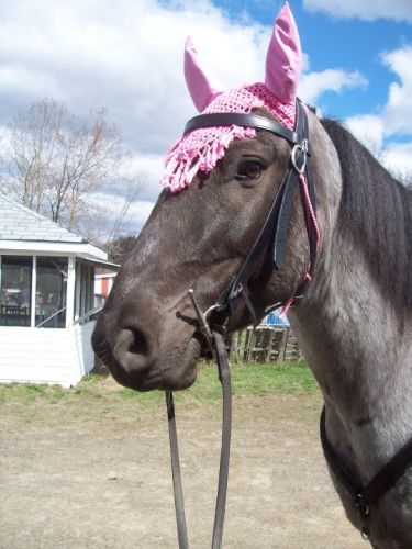 magic avec son bonnet rose