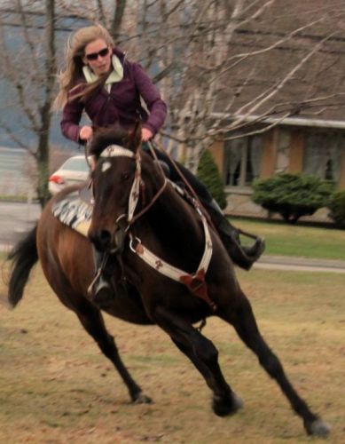 Mon cheval & moi