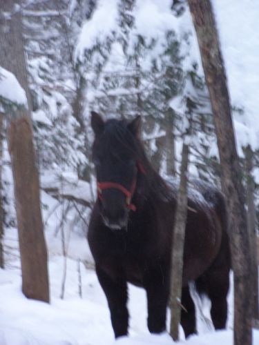 To Be!!  Le canadien avec le nom le plus bizarre que j'ai vu:...