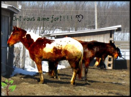 photo par Julieduro