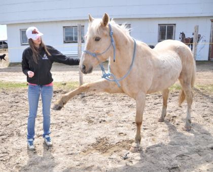 une belle jambette cette fois-ci :) - Photo de Maery