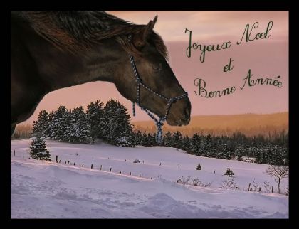 Joyeux Noël !!!! (en avance, ok ! hihi)