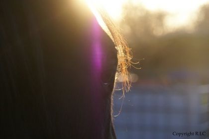 joli oeil de Michou <3
