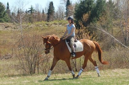 mon amour de cheval ! 