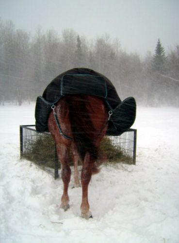 Jolly qui avait le vent dans la jupe dans la tempête du 3...