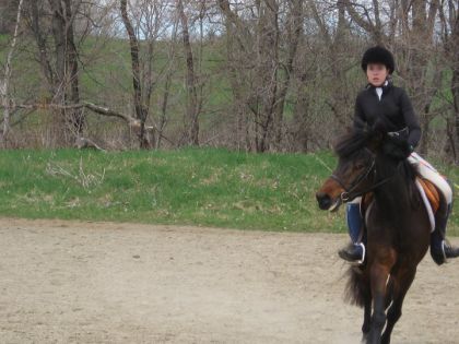 parcours de saut concours &eacute;cole... Oups.. petite d&eacute;viation vers...