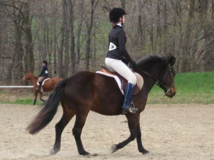 trot enlevé concours école ste-foy