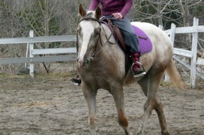 Mystic est vraiment trop cute l&agrave;-dessus ! (L) 