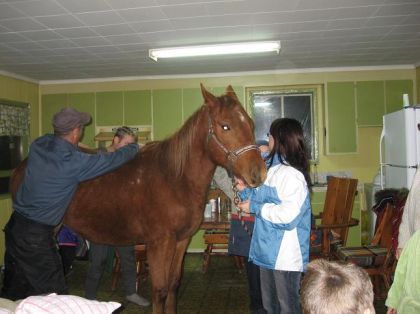 C'est pas tous le monde qui rentre son cheval dans sa cuisine!!!
