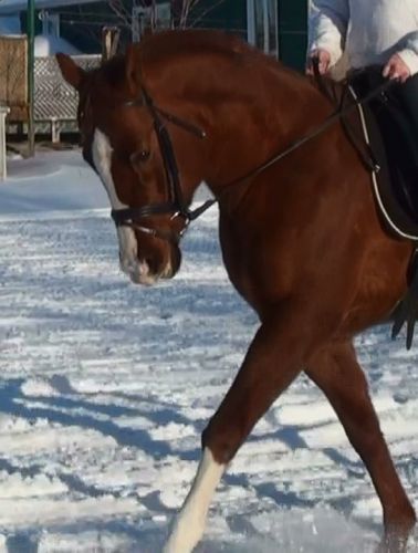 photo par carol-an