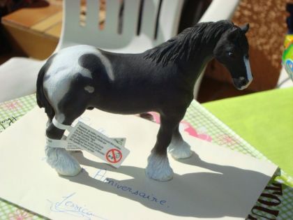 voici mon cheval en plastique lol !