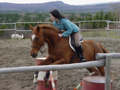 obstacle 3 pied :) 