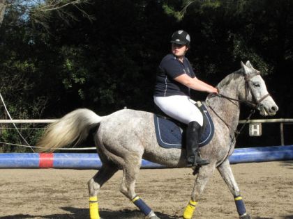 match de horse ball avec ma jument!