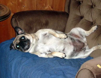 Charlotte pris dans un moment d'intimité flagrant!!!! LOL .