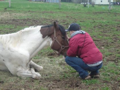 Moi & Denver un cheval qui avait mauvaise r&eacute;putation pour son...
