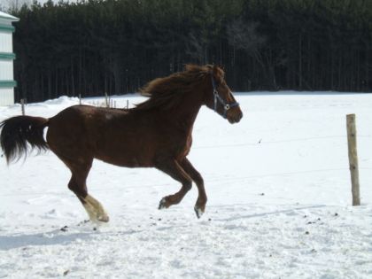 mon gros qui samuse dans la neige!