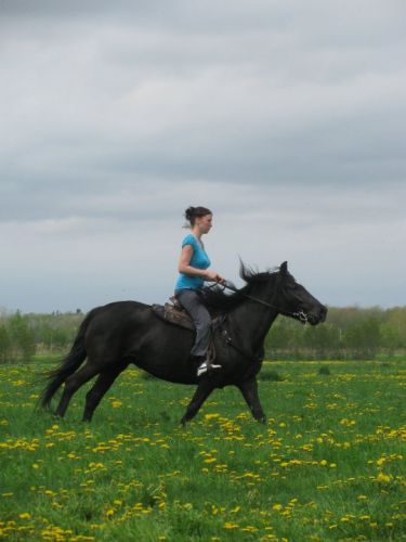 dans le chmps de pissenlits avec la belle Shana!