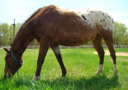 photo par Cadence
