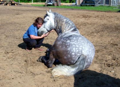 Un gros câlin plein de tendresse!  ;)
