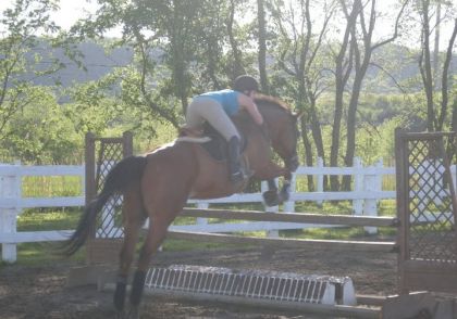 Yé beaaau mon poney <3