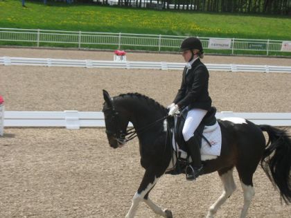 Joli cheval :) Compétition Dressage Bromont 22 mai 