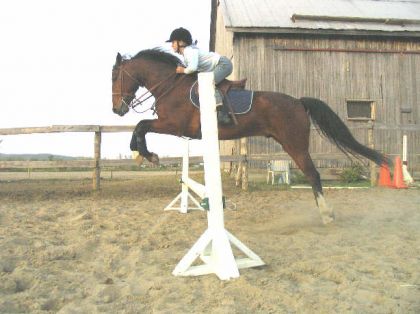 Premier saut avec Kid , j'avais 8 ans !