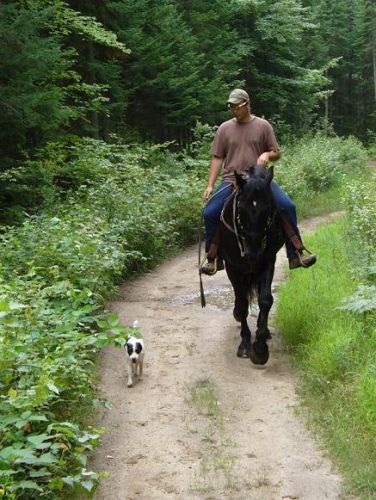 Frank sur son gros Quanah avec Mandzy qui le suit n'importe où....