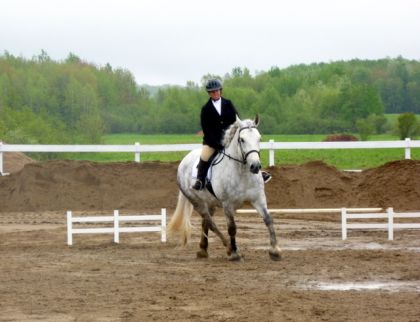 Concours-école dressage. :)