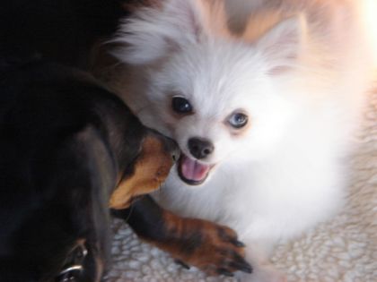 Mes petit amour :)