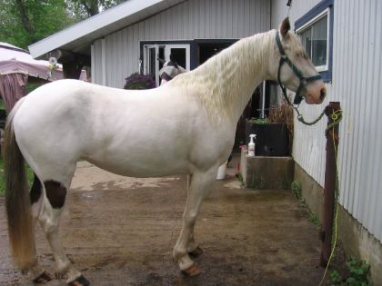 Stormy durant la douche...elle est pas trop certaine lol 