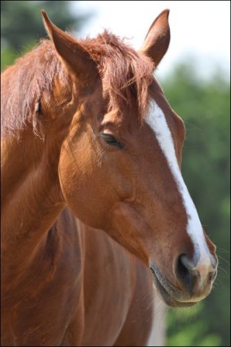 Tequila Sunrise - 03 juin 2011