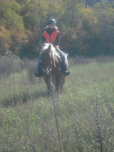 Spirit (mon belge)