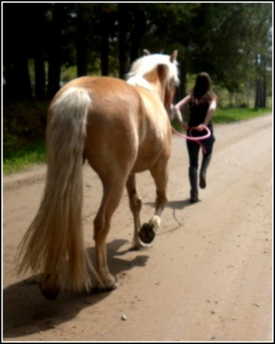 Ou allons-nous ? ... vers le paradis !