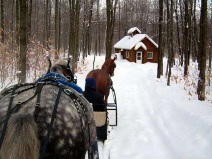 Une pose bien mérité pour les chevaux rendu à la cabane. :)