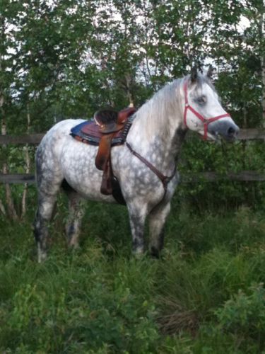 Mon gros Twist :) 2e monte  ! Longe en liberté , petite pause...