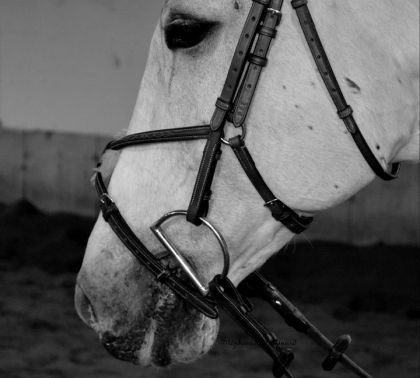 mon coco que jaime pluuuus que touuuut :)