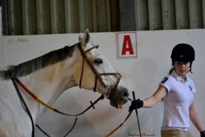moi et sterliing , je laime tlm mon cheval il est ma VIIIIE !