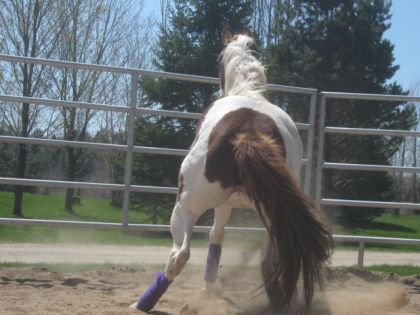 Grosses fesses muscl&eacute;es xD