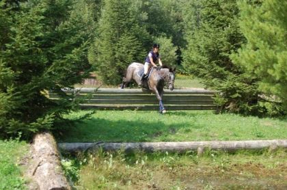 Mon Vieux cheval, back in time en 2008