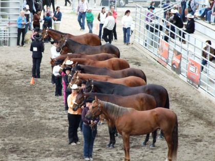 comp&eacute;tition licou st-anto