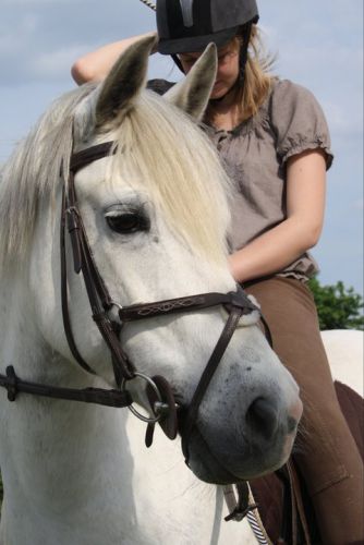 photo par Cloo Mon poney , mon amour ! <3