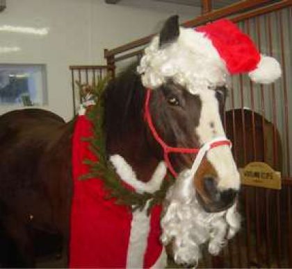Prince en P&egrave;re Noel :) 