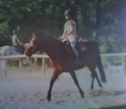 Reprise de Dressage,Avec Mélodi.