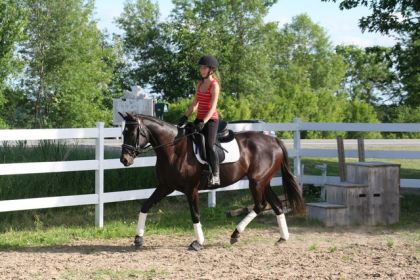Douce, deuxième séance en selle, premier trot.