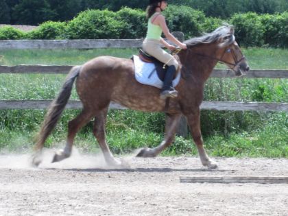 photo par perle&moi Moi et une SUPERBE jument de l'écurie! :) J'aimerais avoir des...