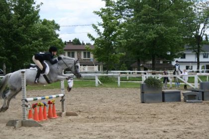 photo par Do_sysy Mon amour de poney commentaire svp ? :)