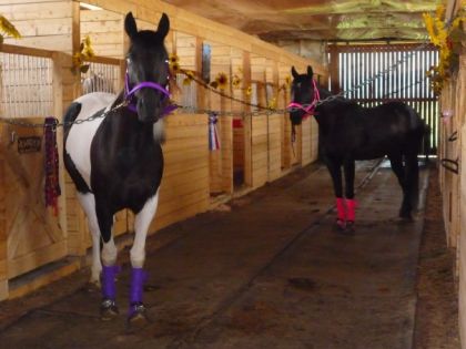 Jouuly (Barby) et son amie Just Time To Win